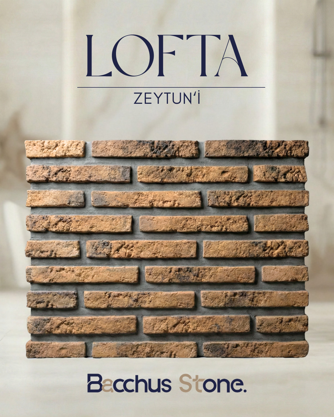 Lofta Zeytuni