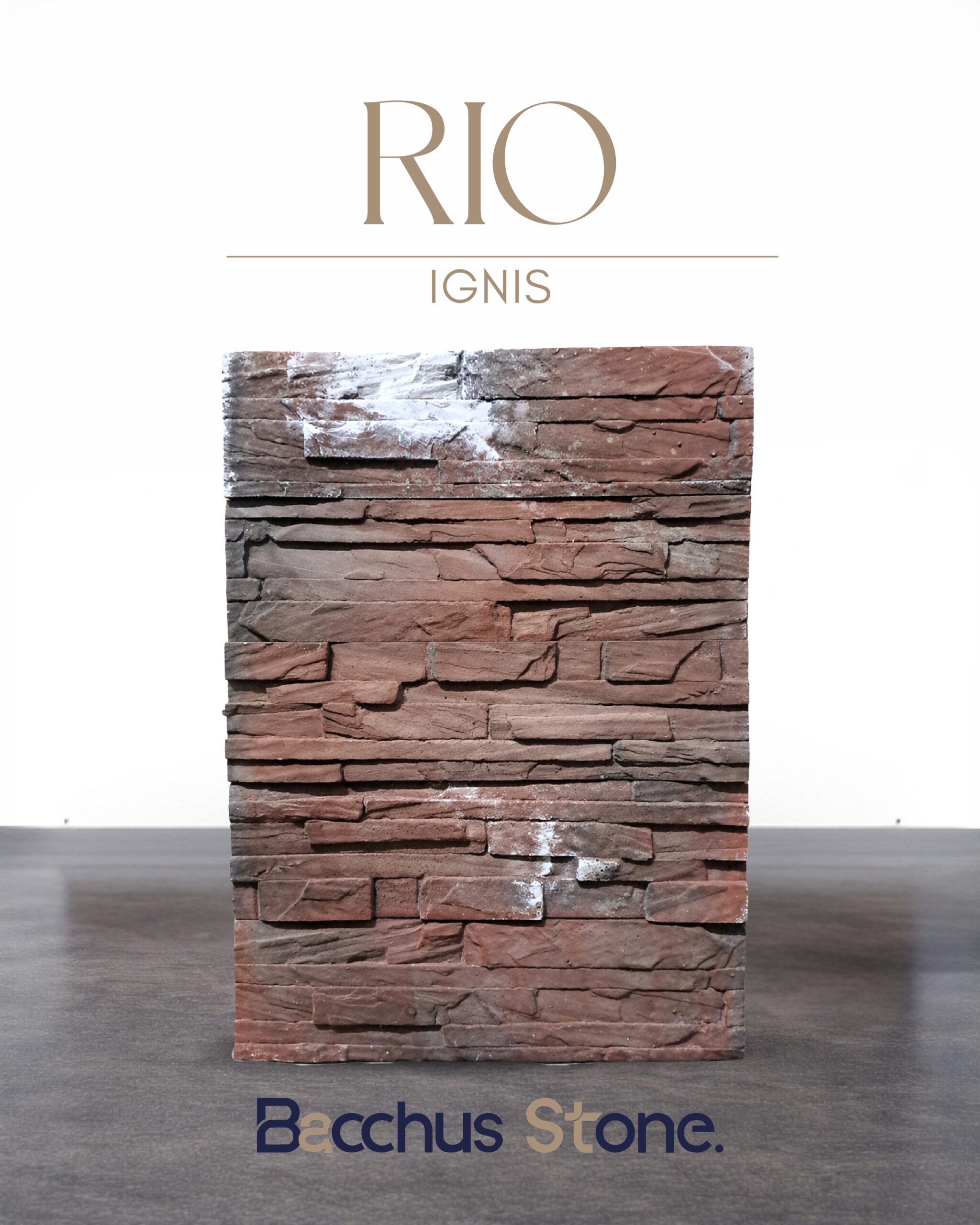 Rio IGNIS scaled